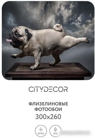 Фотообои Citydecor Животные и Птицы 13 300x260
