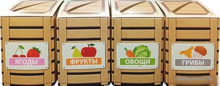 Сортер Десятое королевство Фрукты, ягоды, овощи, грибы 04718