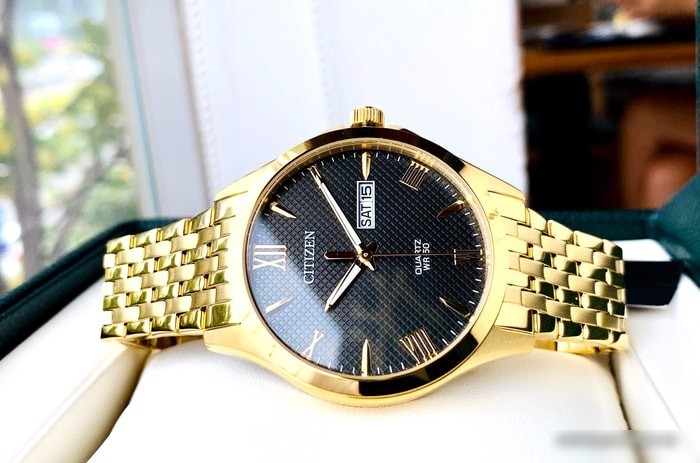 Наручные часы CITIZEN BF2022-55H