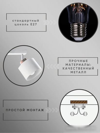 Спот Aitin Pro НПБ 02-2x60-102 8825/2 (медный/белый)
