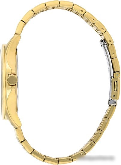 Наручные часы CITIZEN BF2022-55H