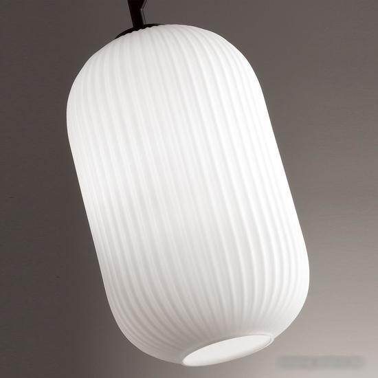 Подвесная люстра Odeon Light Roofi 4752/1