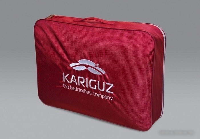 Спальная подушка Kariguz Био Тенсель 3БТ15-3 (50x68 см)