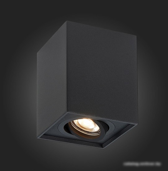 Точечный светильник ST Luce ST109.407.01