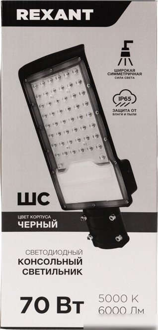 Садовый светильник Rexant ДКУ-01 607-305