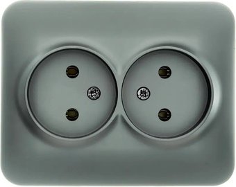 Розетка Lezard Asti 7081-3500-128B (платина)