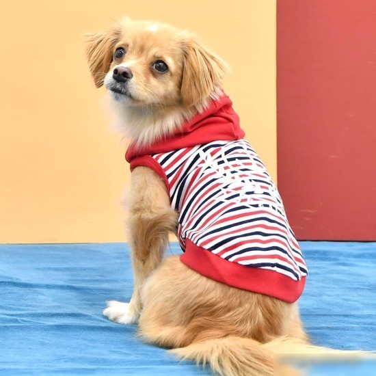 Футболка Puppia Skipper PAUA-TS1812-RD-S (S, красный)