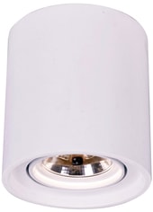 Точечный светильник Arte Lamp Tubo A9262PL-1WH