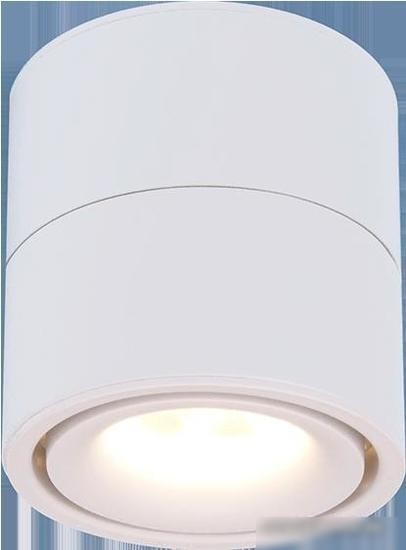 Спот Elektrostandard DLR031 15W 4200K 3100 (белый)