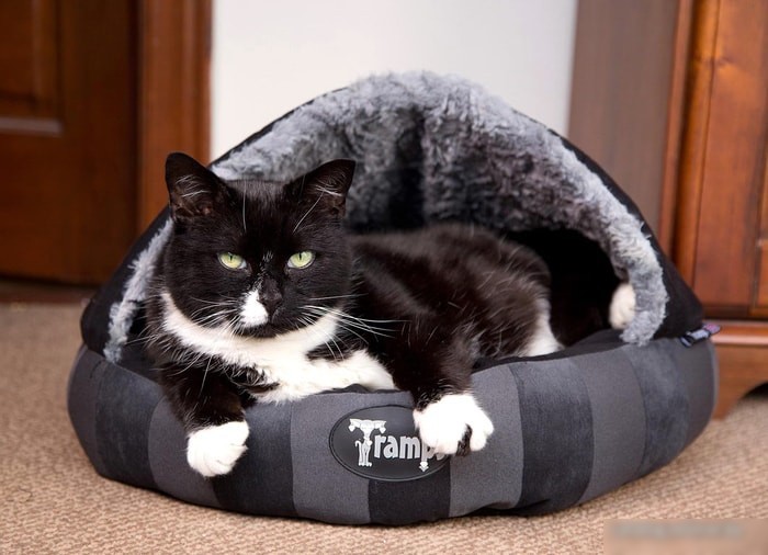 Лежак Scruffs Aristocat Dome Bed 932862/BL (черный)