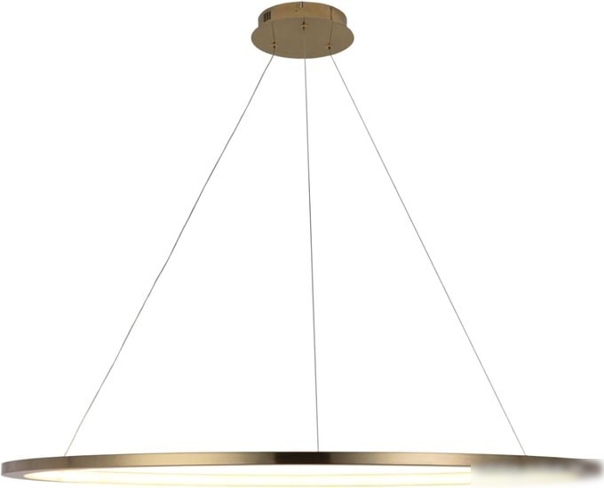 Подвесная люстра LOFT IT Ring 10014XXL