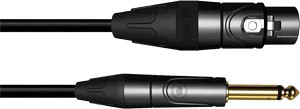 Кабель Leem MHI-5 XLR - 6.3 мм (5 м, черный)