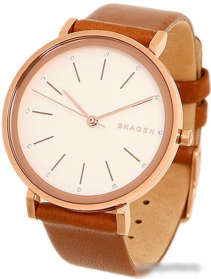 Наручные часы Skagen SKW2488
