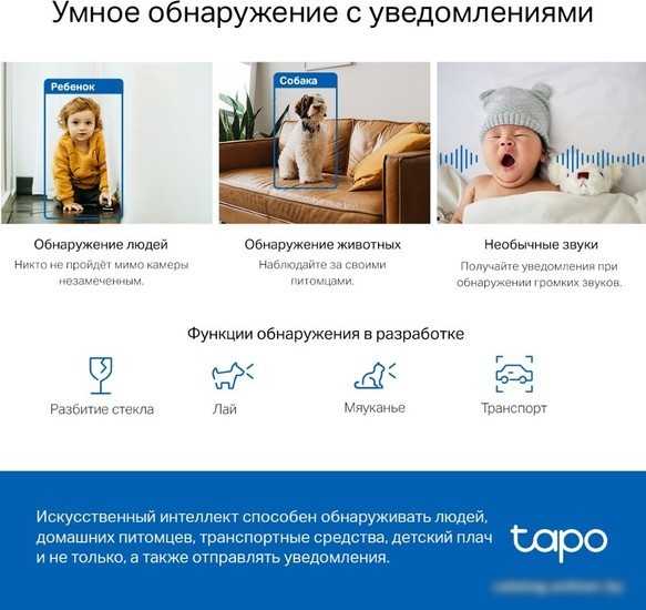 IP-камера TP-Link Tapo C220