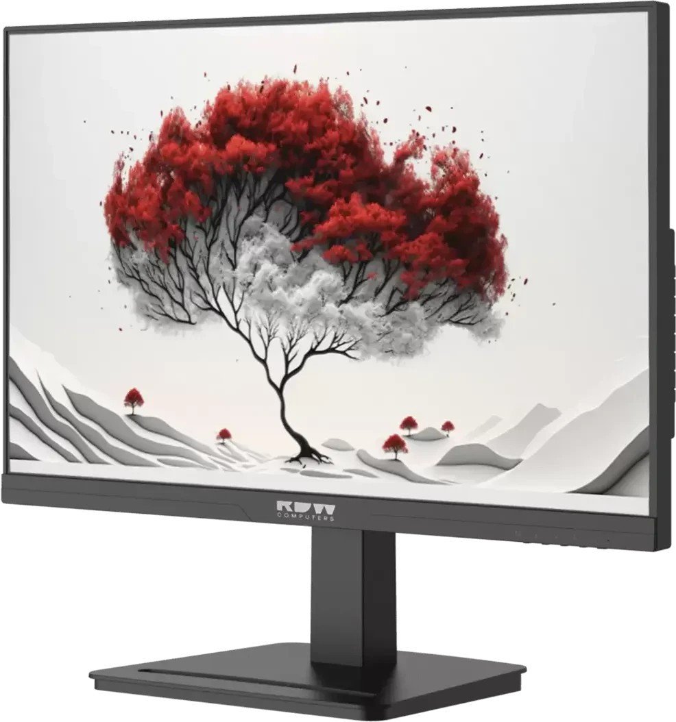 Монитор RDW Computers 2401K/F08B3100V3A1H