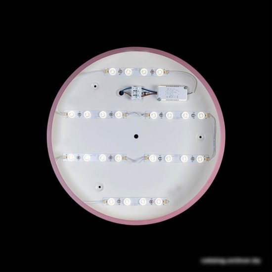 Люстра-тарелка LOFT IT Axel 10002/24 Pink