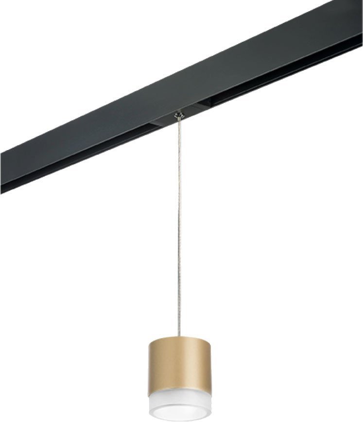 Трековый светильник Lightstar Rullo PRORP349080