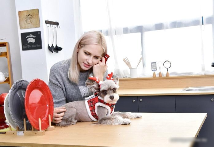 Шлейка Puppia Blitzen-B PAQD-AH1470-CR-L (красный)