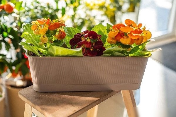 Вазон 5 Plast Прованс Балконный ящик (6 л, фраппе, с подставкой)
