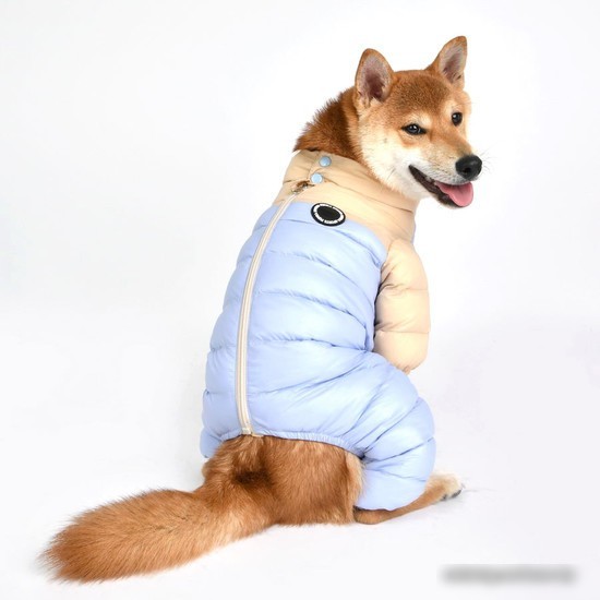 Комбинезон для животных Puppia Ultra Light Pastel PAUD-JP1675-BE-S (бежевый/голубой)