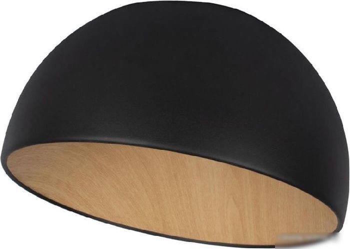 Люстра средней высоты LOFT IT Egg 10197/350 (черный)