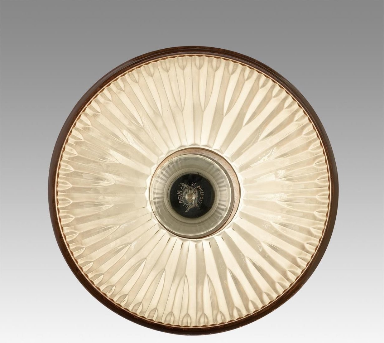 Подвесная люстра Lumion Natana 8054/1А