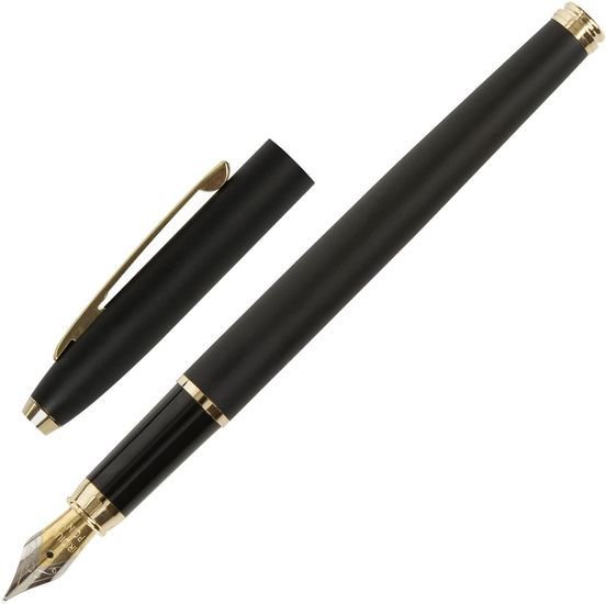 Ручка перьевая BRAUBERG Brioso 143467