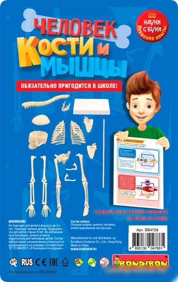 Набор для опытов Bondibon Японские опыты. Человек. Кости и мышцы ВВ4728