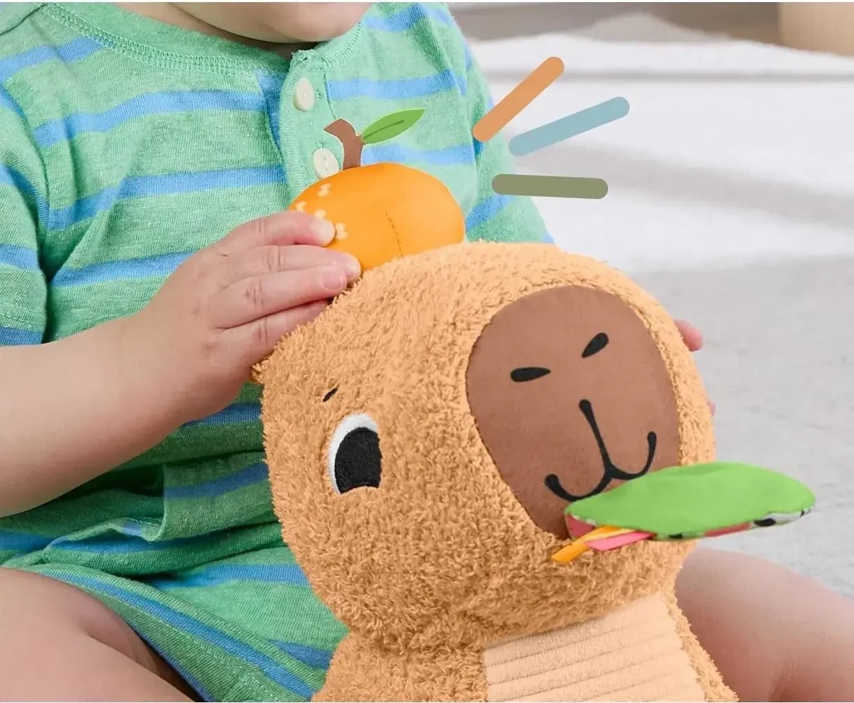 Развивающая игрушка Fisher-Price HYR54