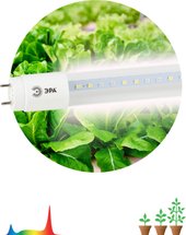Светодиодная лампочка ЭРА FITO-9W-Ra90-Т8-G13-NL