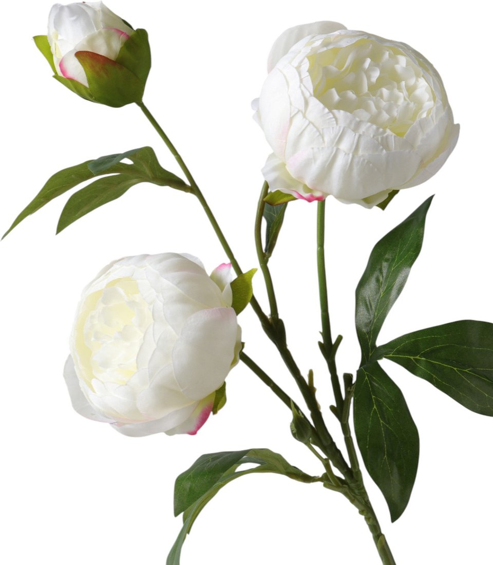 Искусственный цветок Poetry in flowers Пион Бьорг 10970085