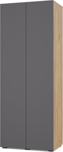 Шкаф распашной Modern Челси Ч20 (золотой дуб/графит)