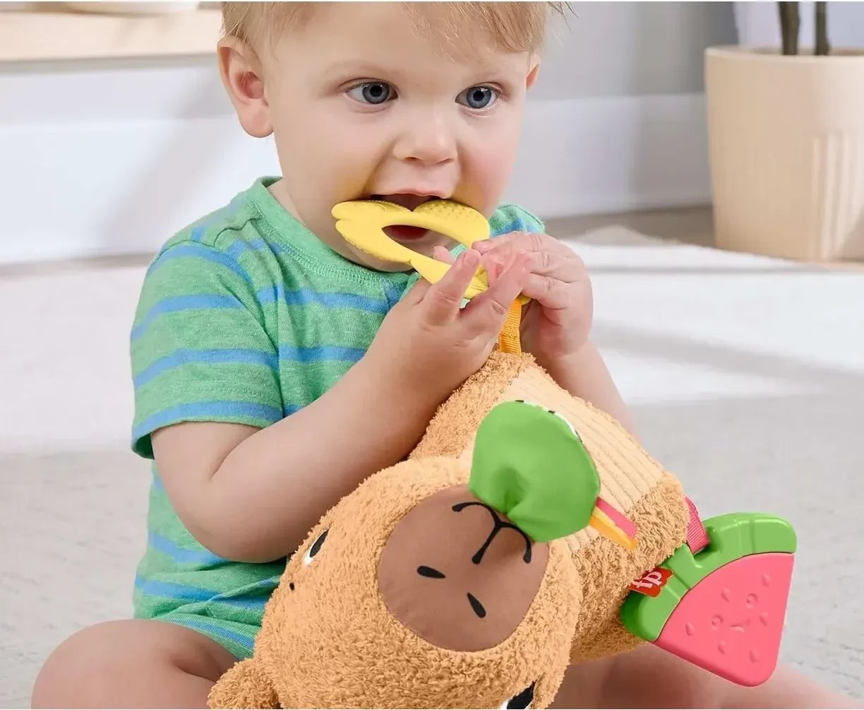 Развивающая игрушка Fisher-Price HYR54