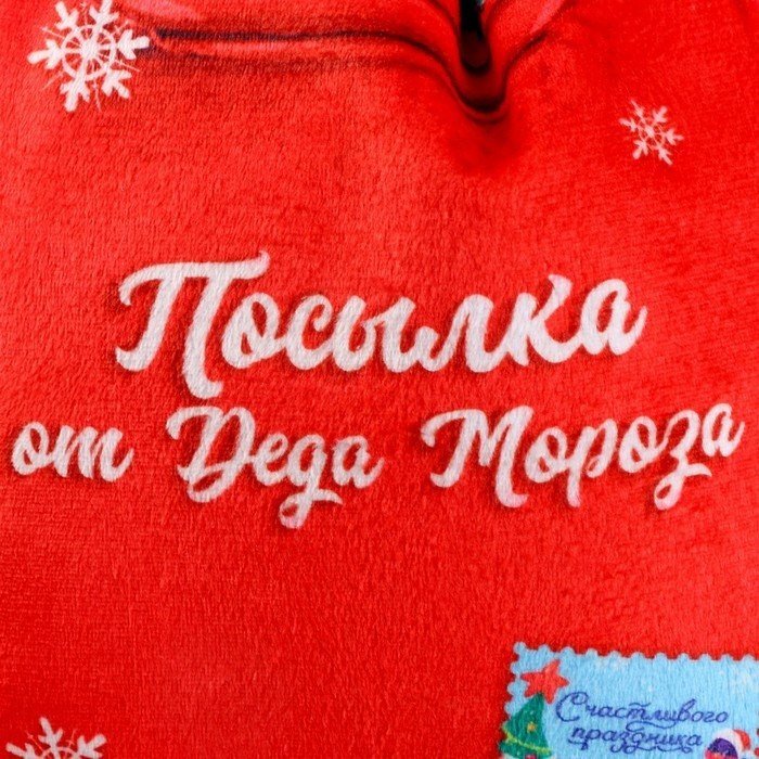 Мешок для обуви Milo Toys Посылка от Деда Мороза 9720697