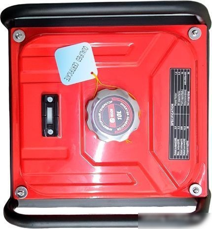 Бензиновый генератор Edon PT-4000C