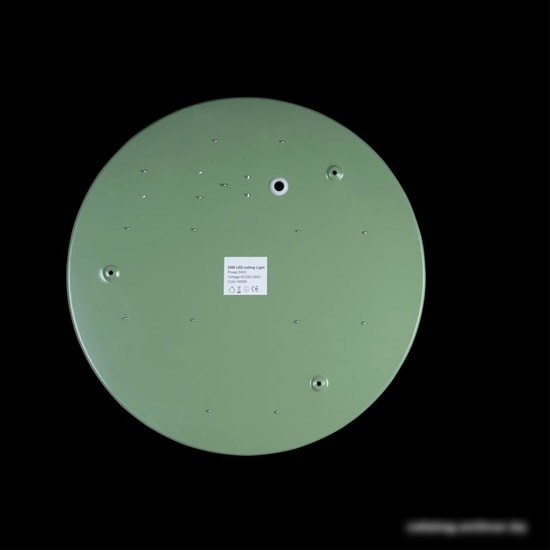 Люстра-тарелка LOFT IT Axel 10002/24 Green