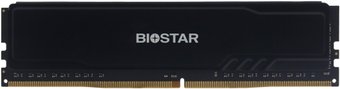 Оперативная память BIOSTAR Storming V 8ГБ DDR4 3200 МГц