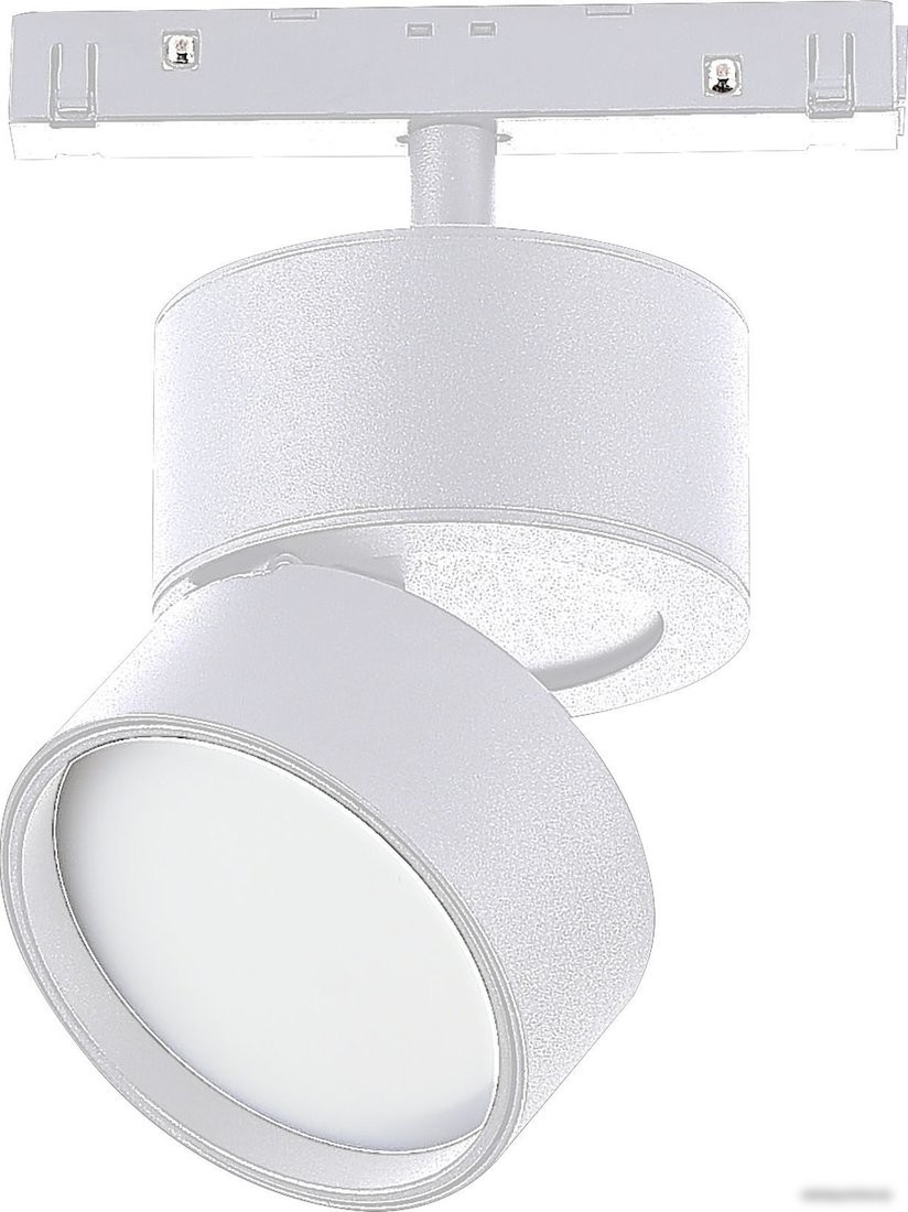 Трековый светильник ST Luce SKYLine 48 ST809.536.09