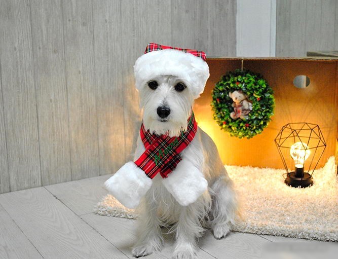 Шарфик Puppia Santa PDDF-SM23-CR-L (красная клетка)