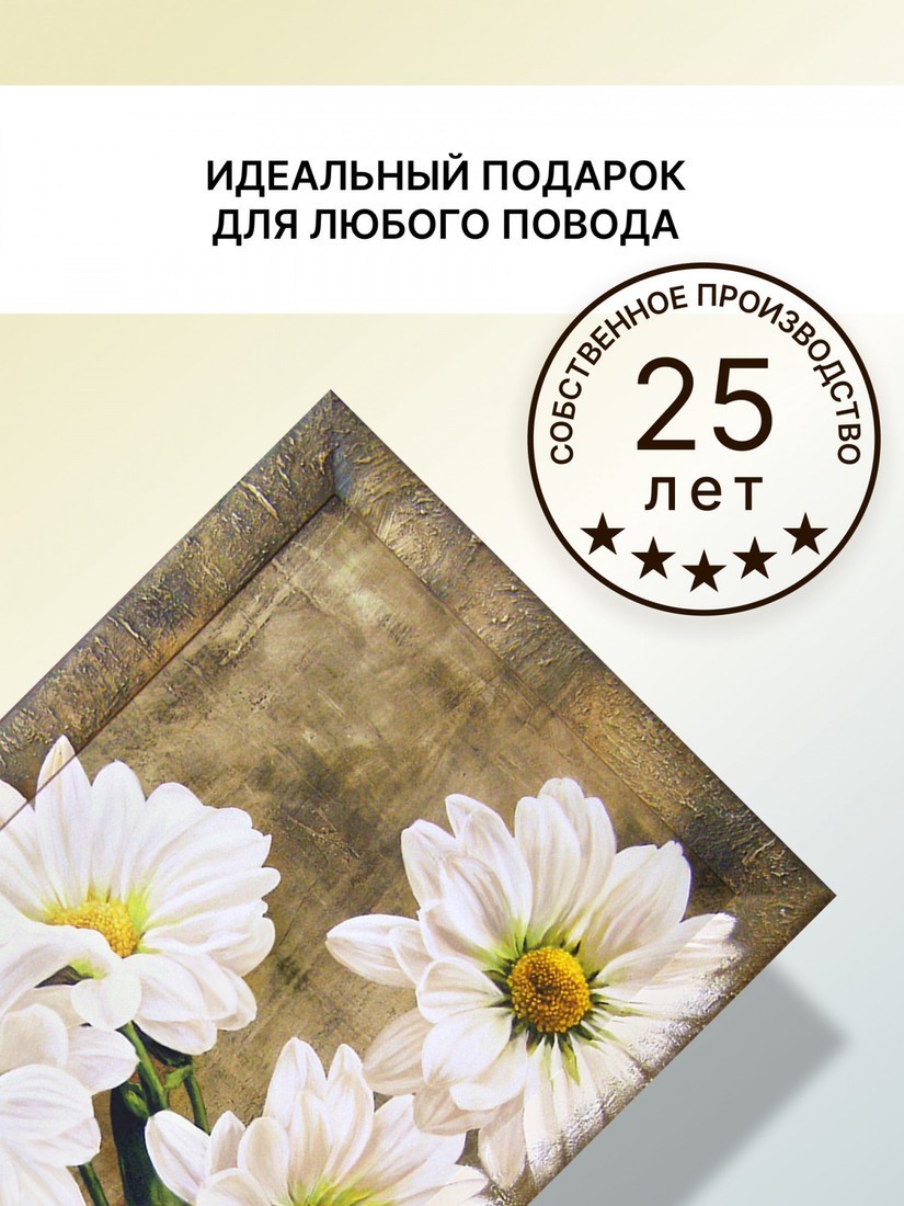 Картина Декарт 8Л2392