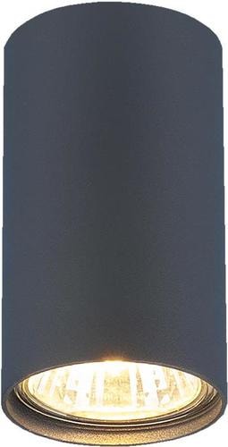 Точечный светильник Elektrostandard 1081 GU10 GR