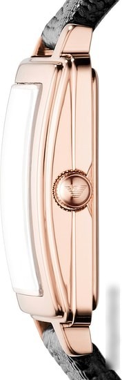Наручные часы Emporio Armani AR11067