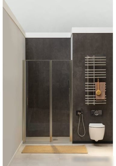 Душевая дверь Allen Brau Priority 3.31032.BA 294061 (серебро браш)