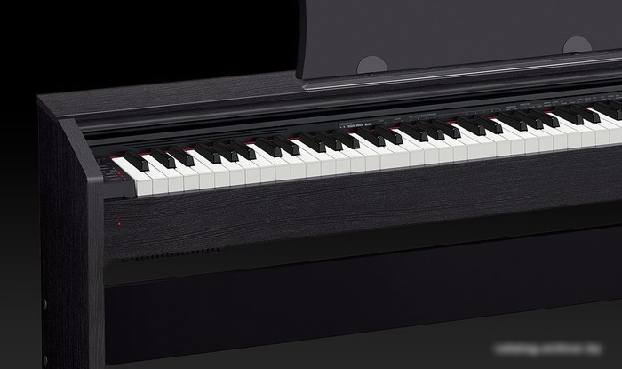 Цифровое пианино Casio Privia PX-770 (черный)