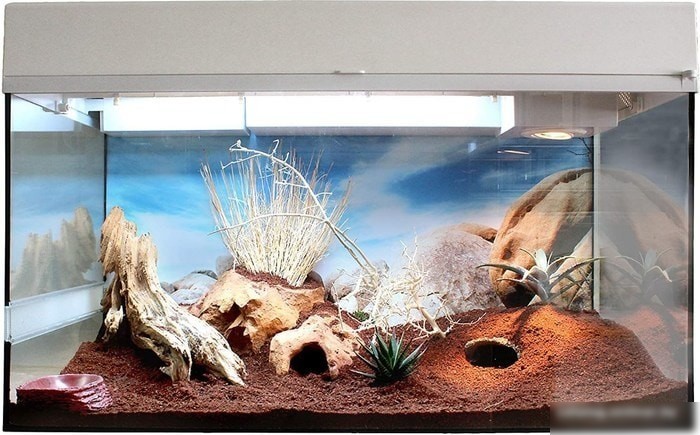 Грунт Lucky Reptile Desert Bedding Outback DBO-20 20 л