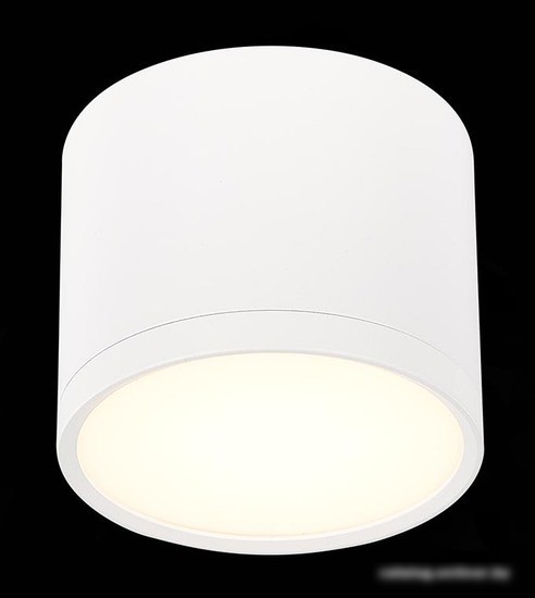 Точечный светильник ST Luce Rene ST113.532.09