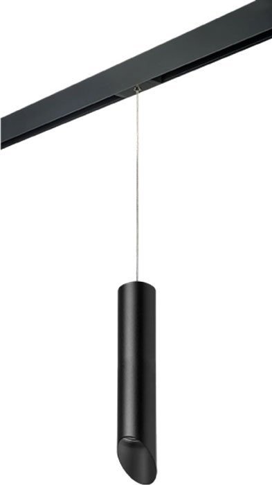 Трековый светильник Lightstar Rullo PRORP49737