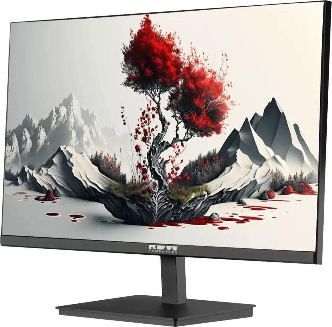 Монитор RDW Computers 2401K/F00В3100V2A1H