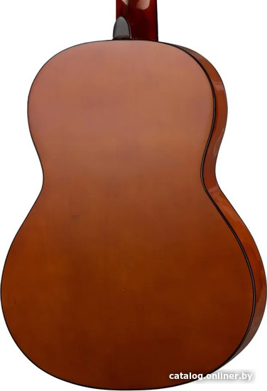 Акустическая гитара Naranda CG120-1/2