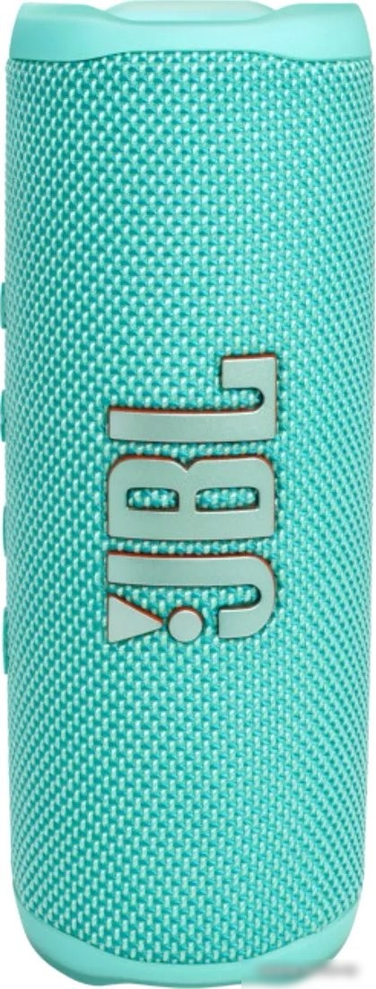 Беспроводная колонка JBL Flip 6 (бирюзовый)
